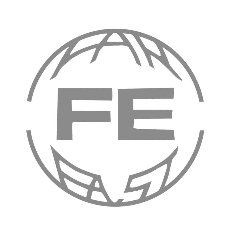FE
